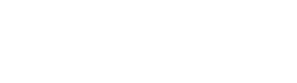 Developry Logo Light