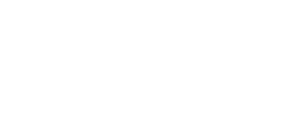 Developry Logo